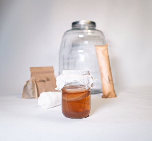 Kombucha starter kit