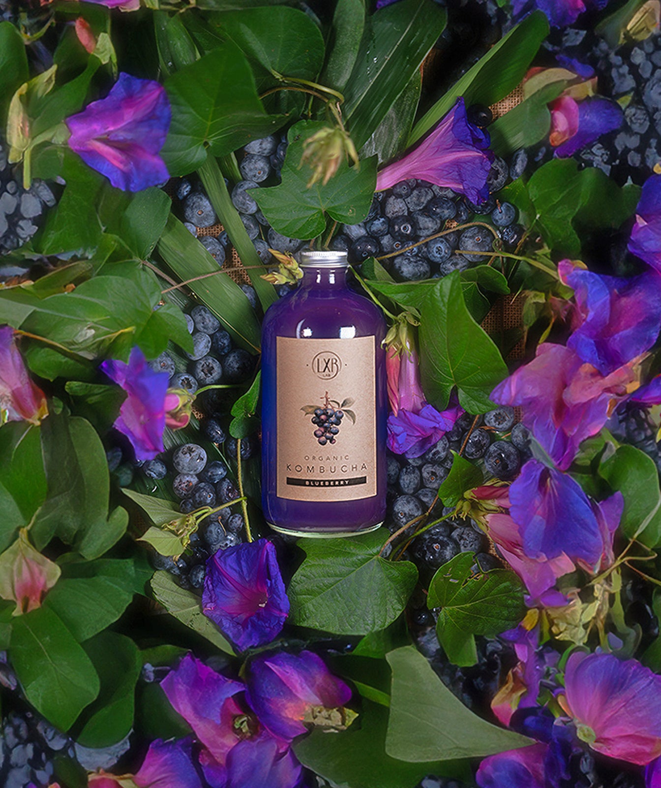 Blueberry / Butterfly pea