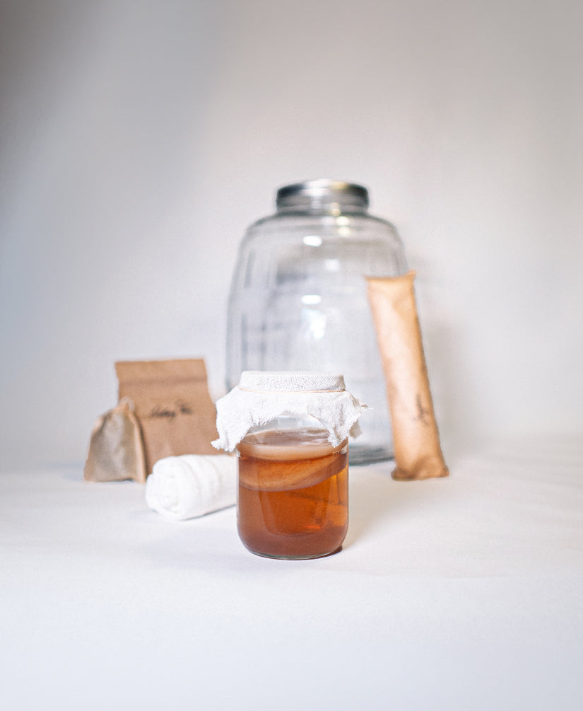 Kombucha Starter Kit