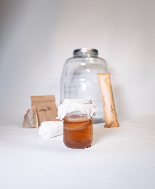Kombucha Starter Kit